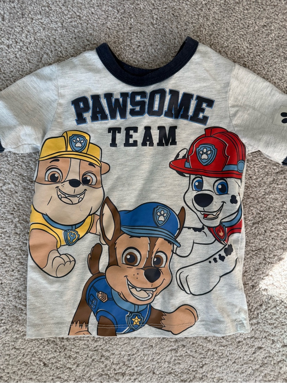 Paw Patrol Pawsome Team Graphic Tee - White, Blue, Yellow, Red
